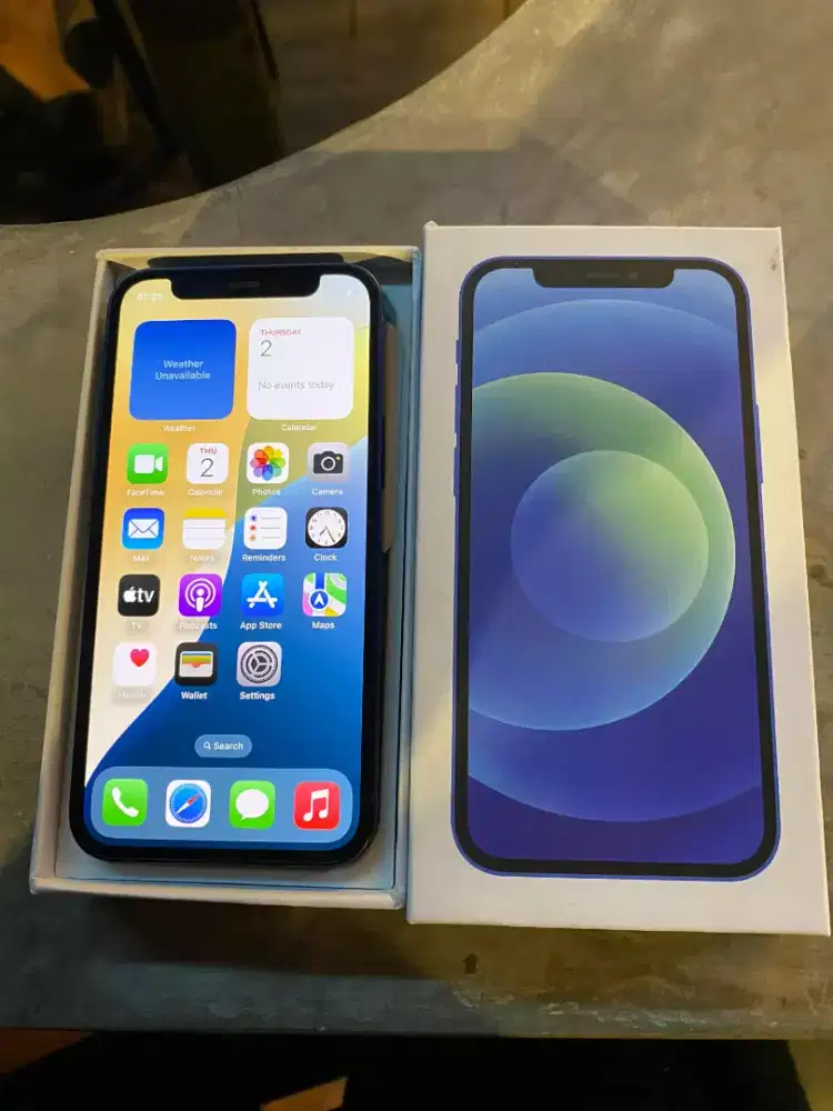 PUNYA IP 12 MINI 256GB