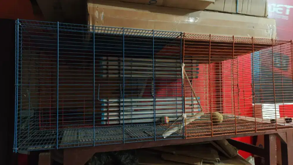 4 kandang kecil jadi 1