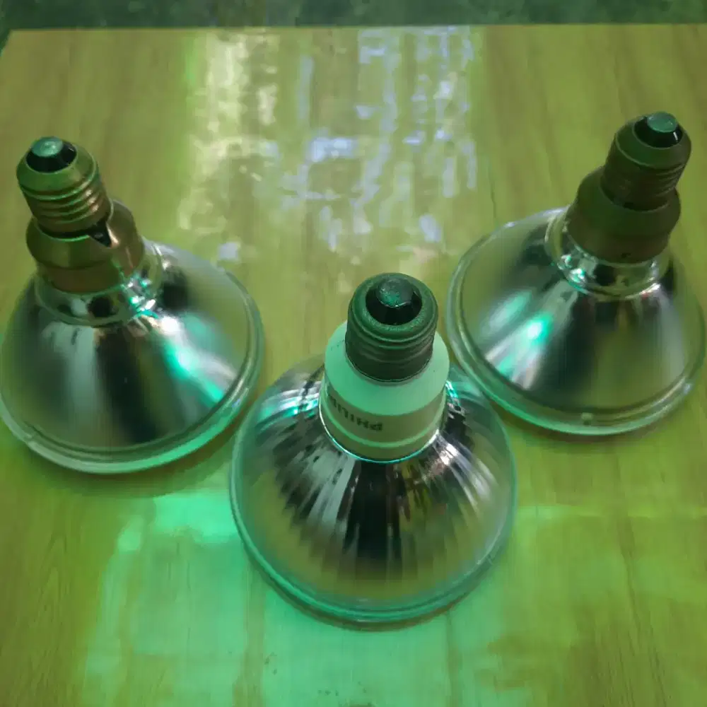 Lampu merk philips 80 watt