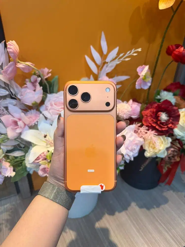 Ip 17pm 256 orange bnob