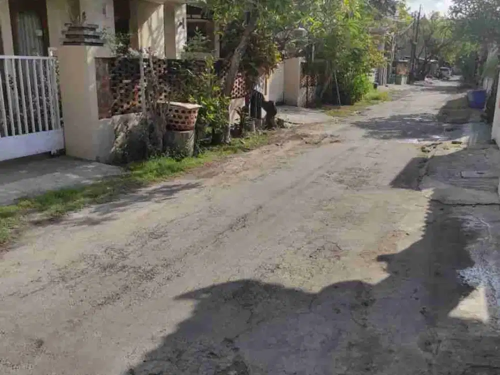 Rumah Mungil Tk. Balian Renon