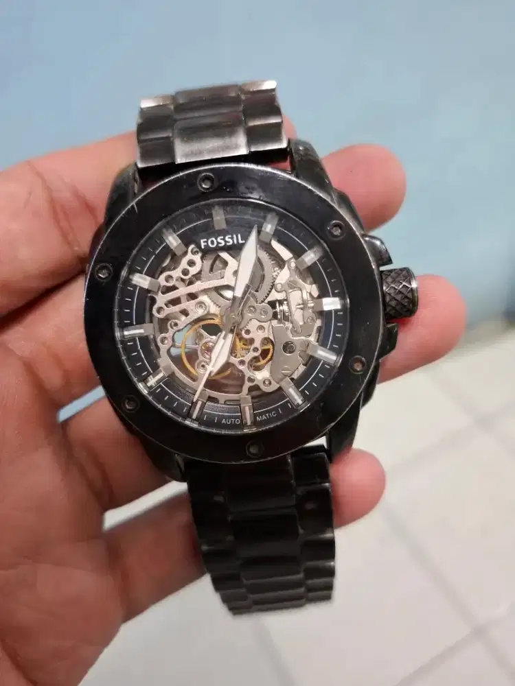 Fossil skeleton automatic