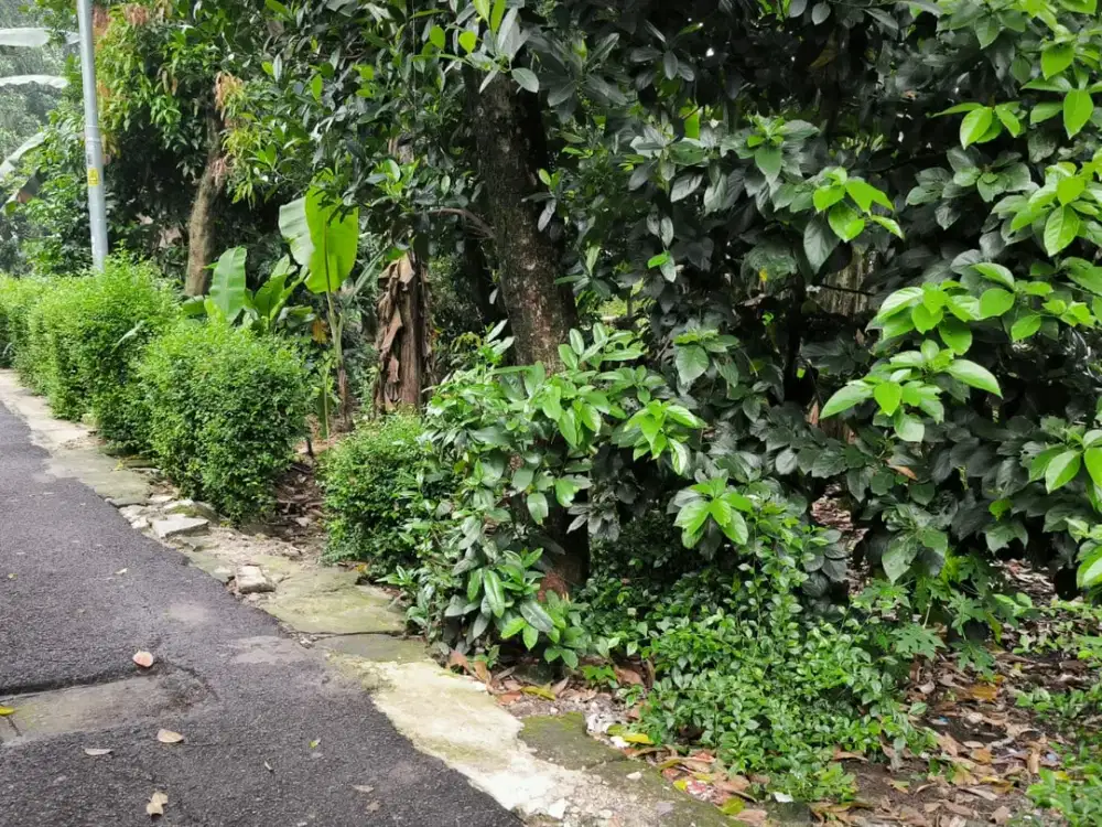 Tanah dijual murah daerah Cipayung Jakarta Timur, cocok utk cluster rumah