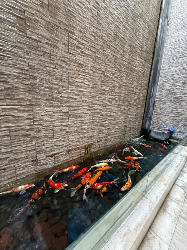 Pik - Murah Rumah Mewah Katamaran Indah