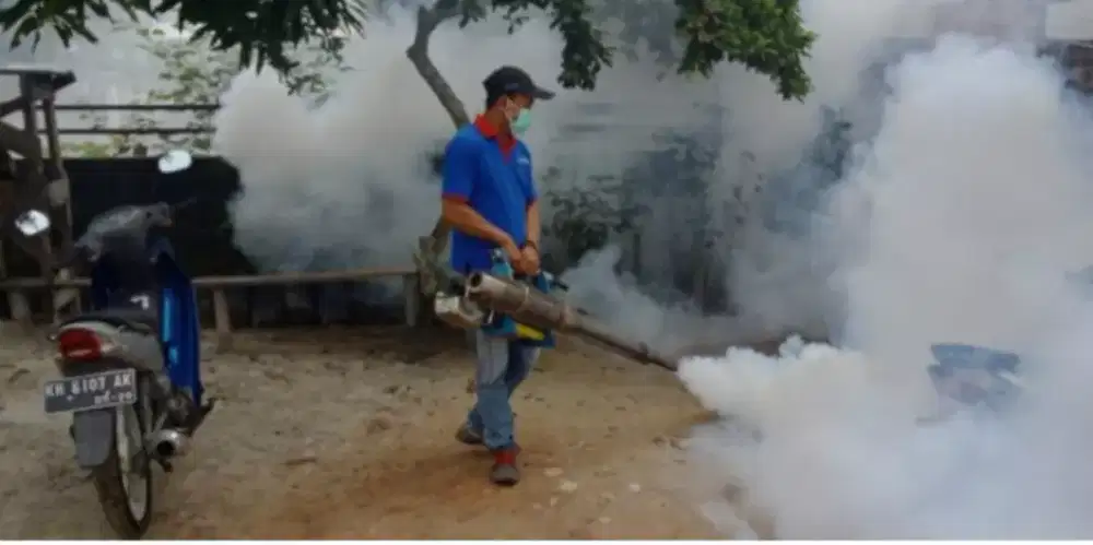 Terima jasa fogging pengasapan nyamuk DBD