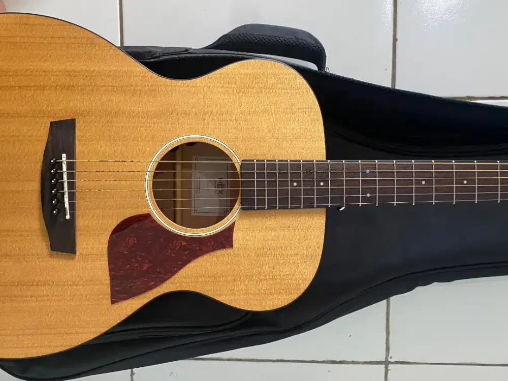 Gitar HEX F70E m