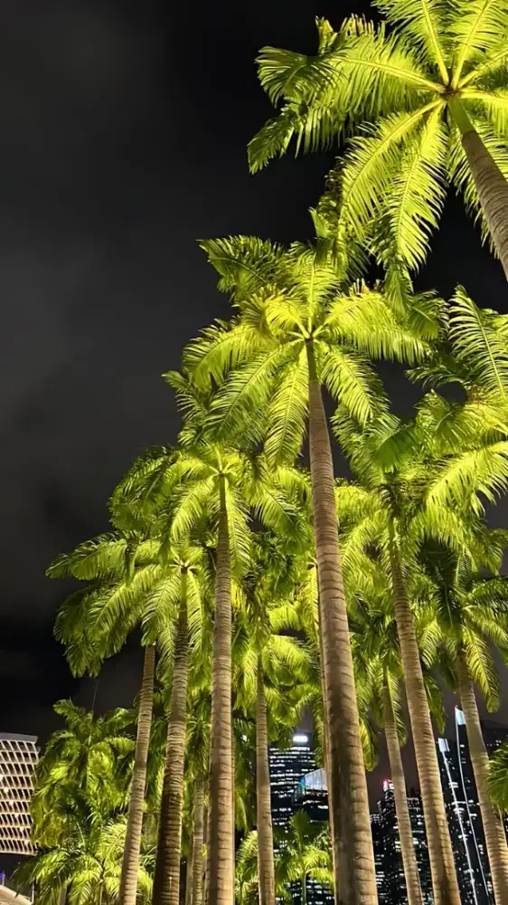 cari kerjaan apa saja