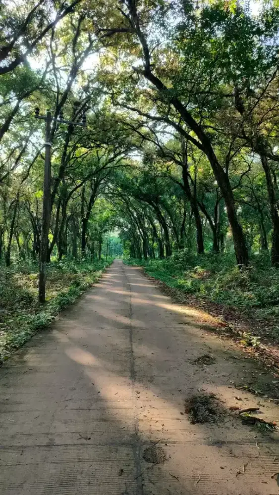 Bismillahirahmanirrahim , Saya niat mencari pekerjaan