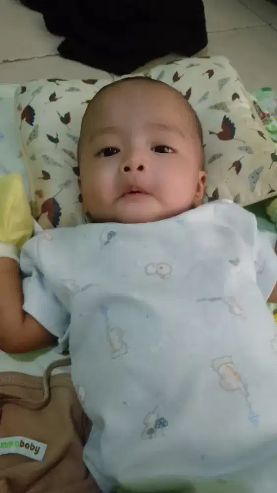 Tukang cat rumah borongan lebih baik