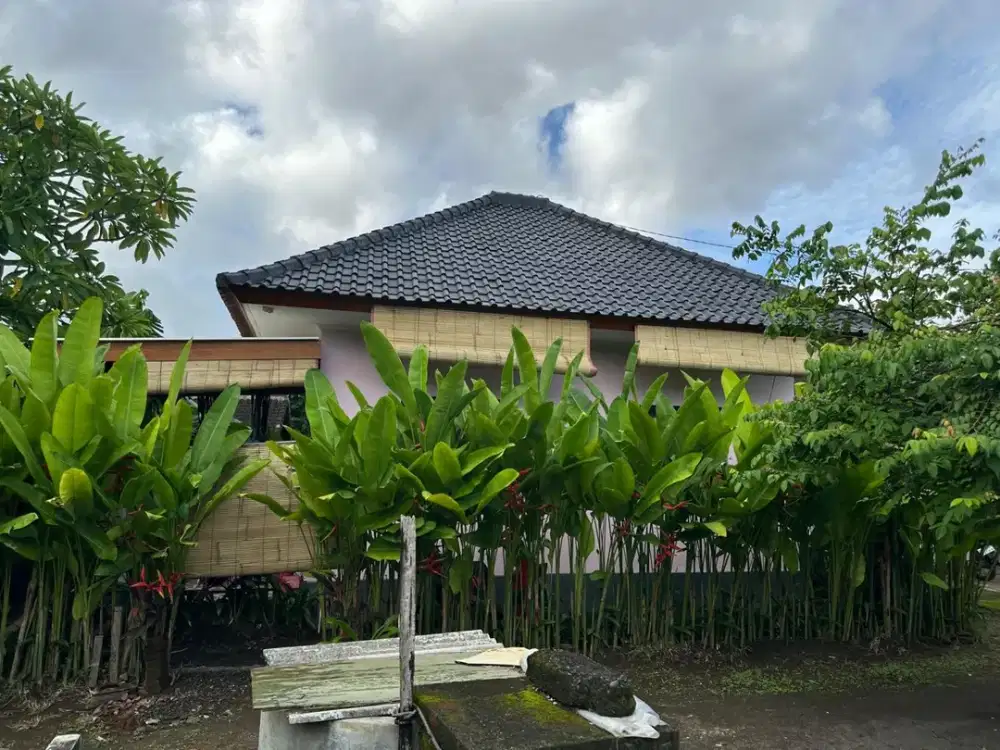 FOR RENT HUNIAN BAGUS 1LT KAWASAN TENANG DI DENPASAR UTARA