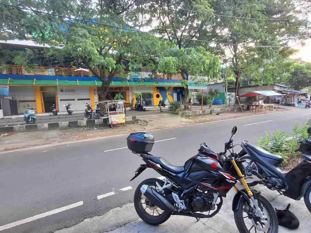 Dijual Komersial Kayu Putih ( Jalan Raya )