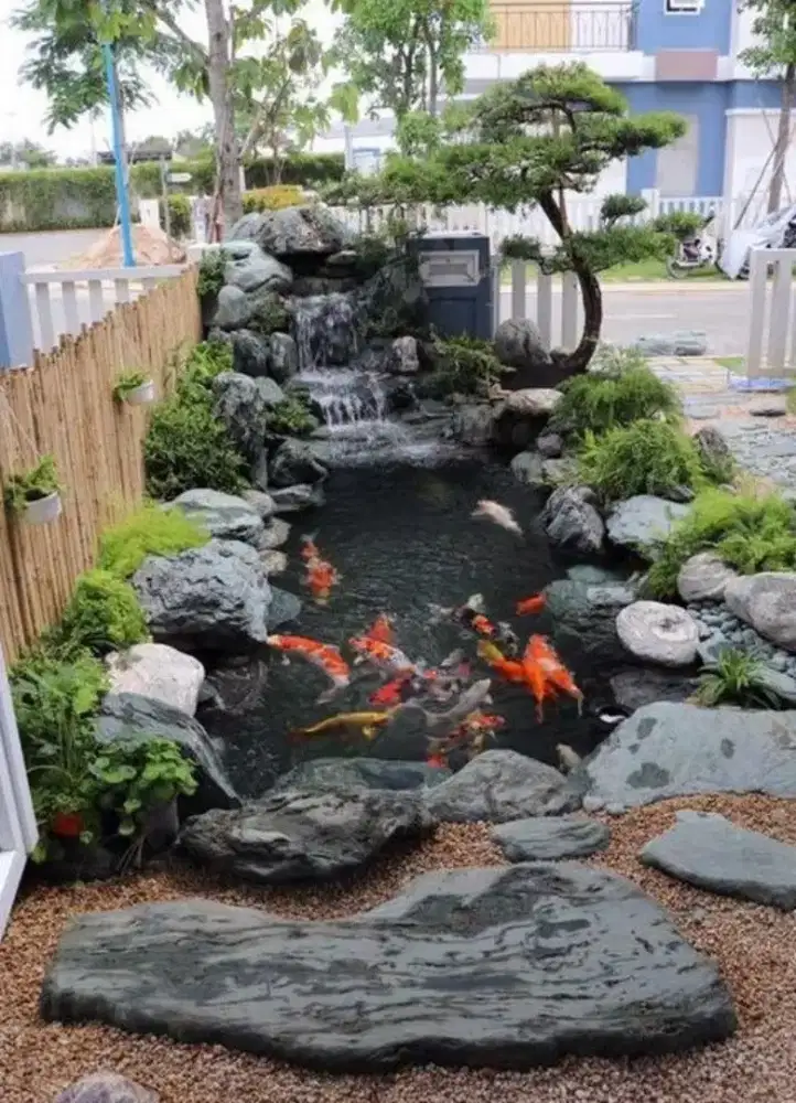 Membuat kolam ikan koi relief batu alam Aviari