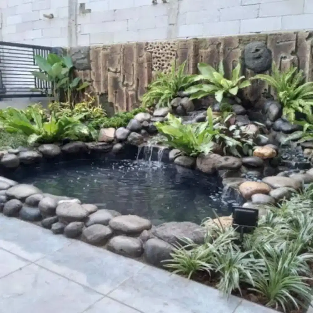 Membuat kolam ikan natural
