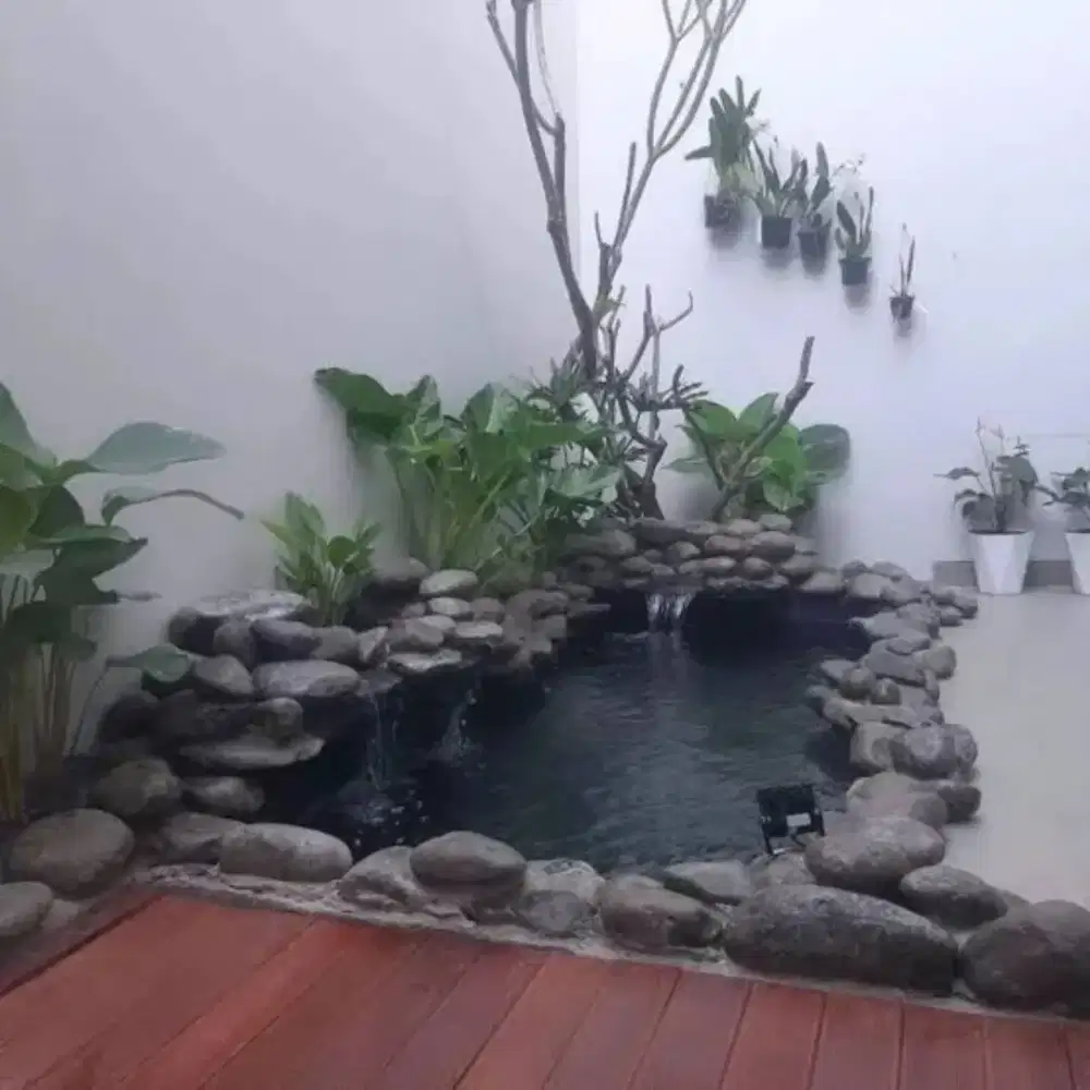 Membuat kolam ikan Aviari