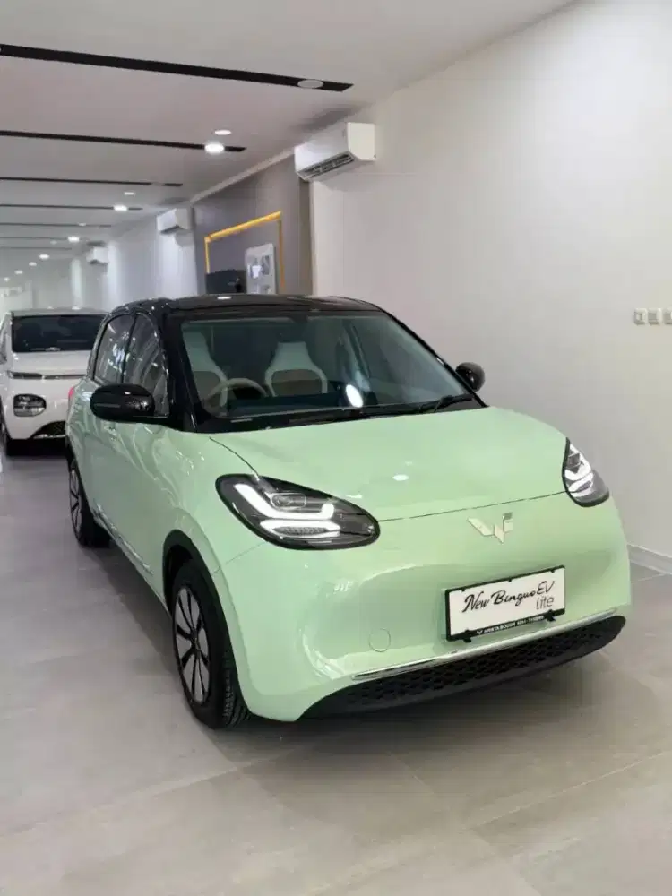 Wuling Binguo ev lite 333km