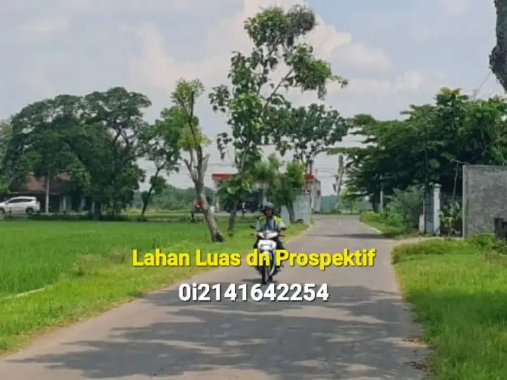 JUAL, Tanah LD 280 mtr, dekat Jalan Raya Propinsi Caruban MADIUN, Lokasi Sip