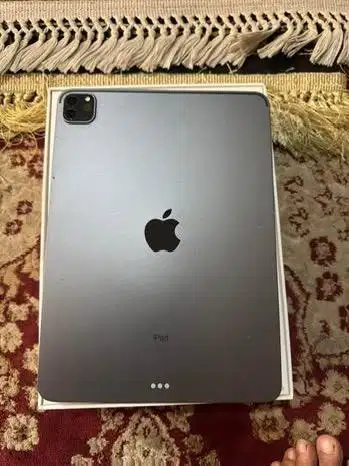 Ipad Pro 2nd Gen (11 inch) 256GB (wifi only) Gray