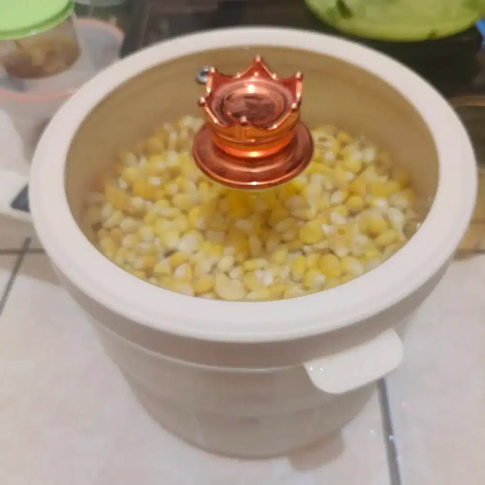 Panci elektronik advance