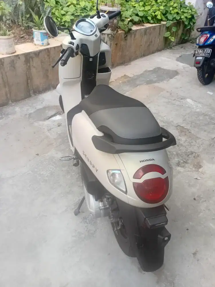 HONDA SCOOPY MODEL 2025