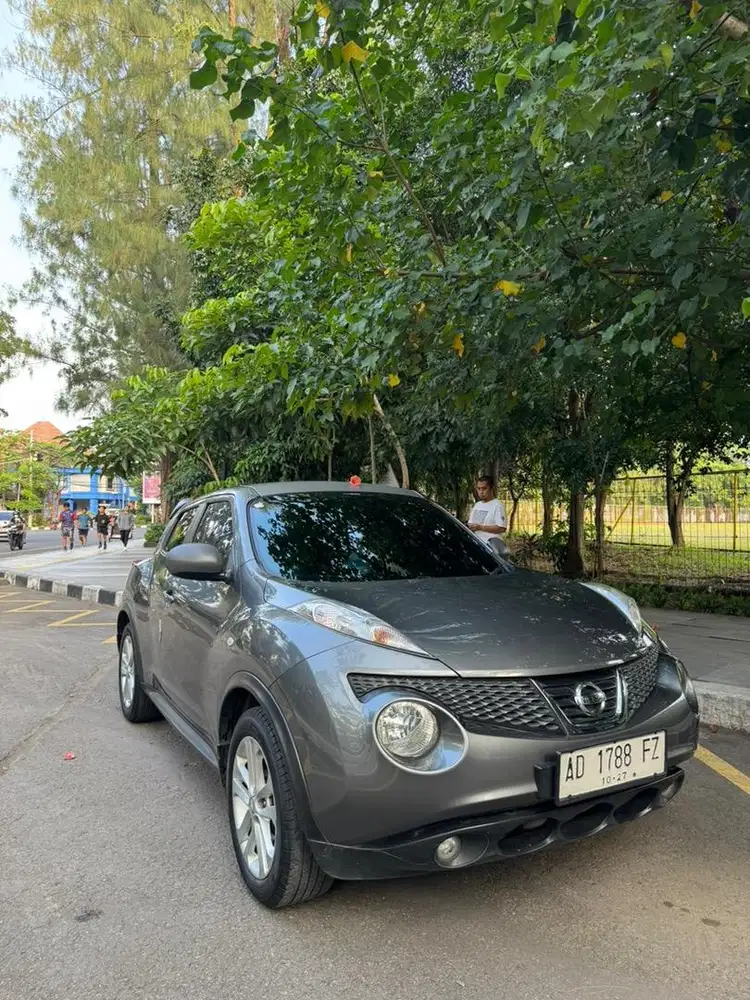 Nissan Juke RX 2011