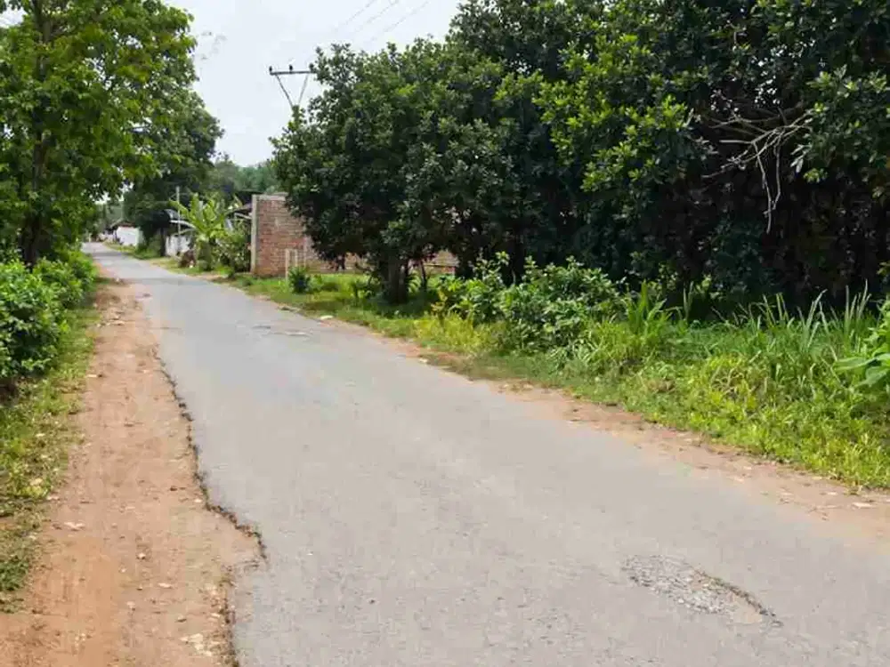 Kebun 882 m2 Dekat exit tol Kalijati Subang