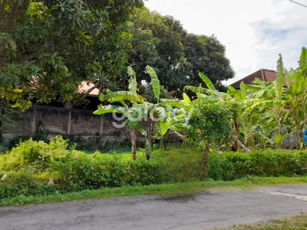 TANAH TANGKUBAN PERAHU PADANGSAMBIAN DENPASAR, BALI