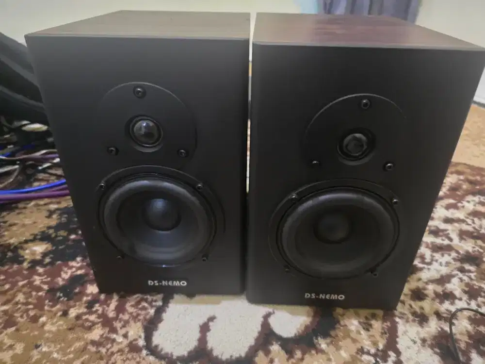 Speaker flat ds nemo