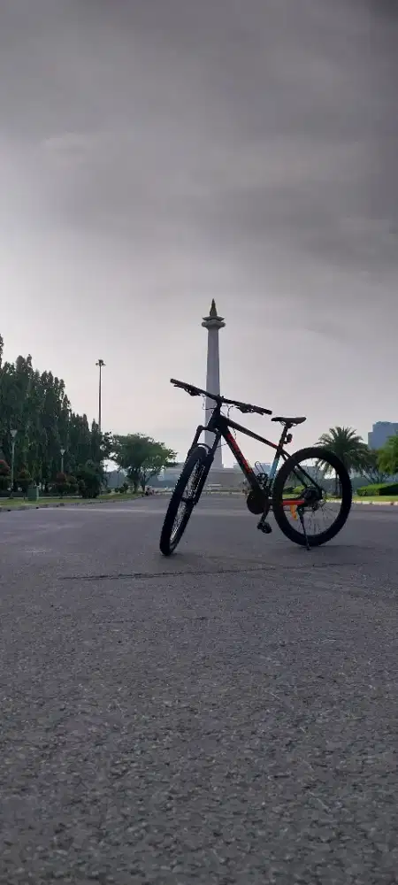 Sepeda United Miami 3.0