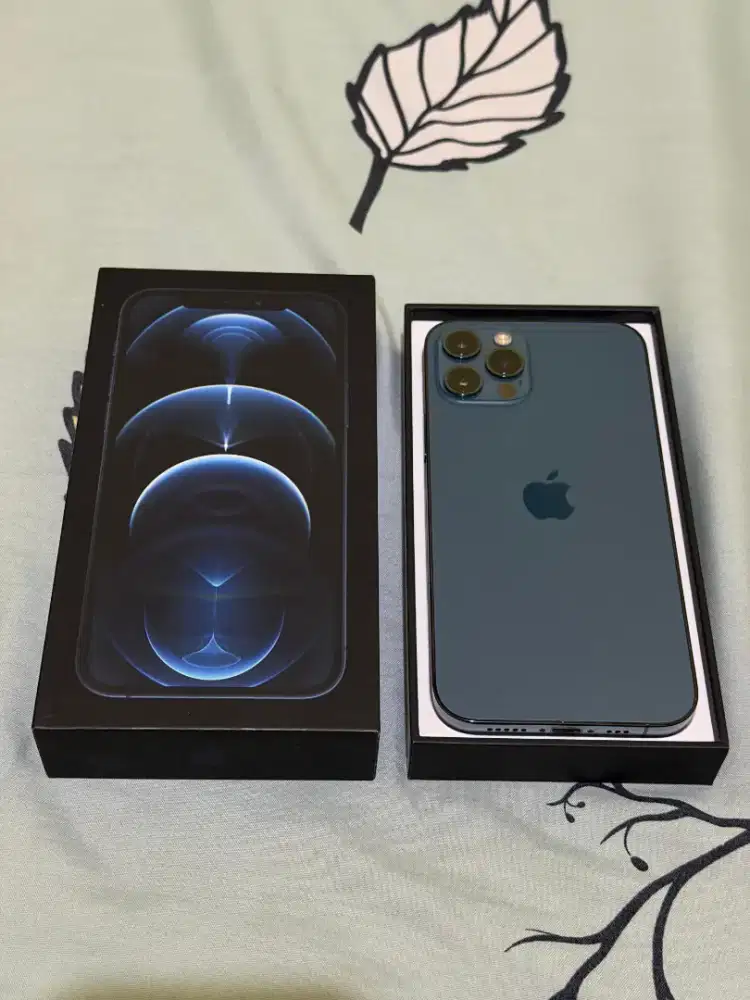 iPhone 12 Pro 256gb Resmi