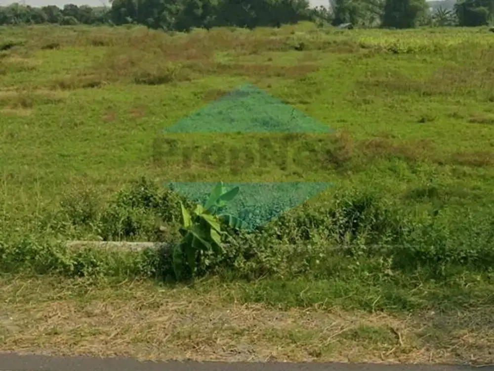 Raya Pantura , Raya Babat Tuban