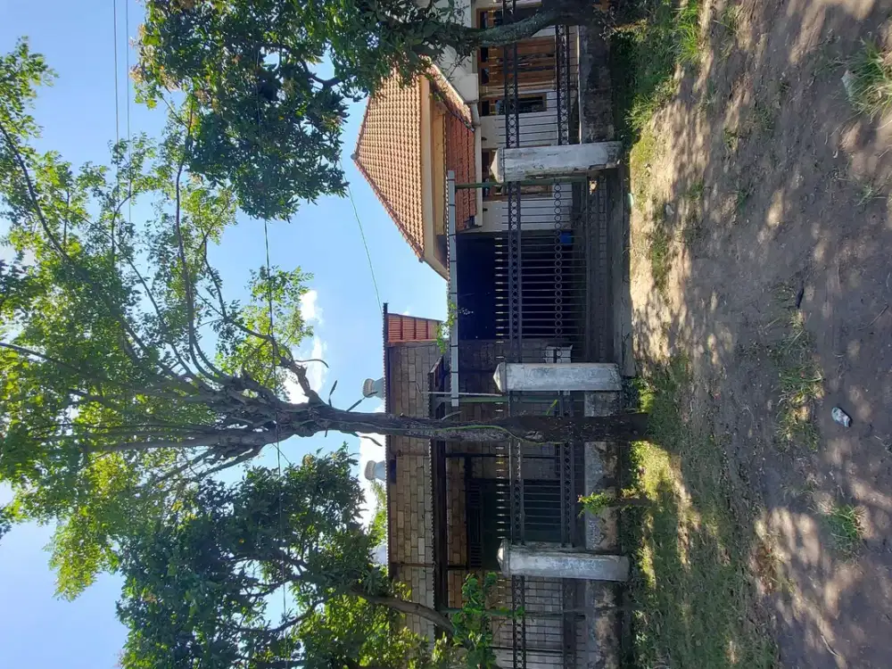 desa Randugong Kec Kejayan Pasuruan