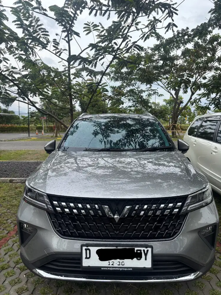 Over kredit wuling alvez ex 2025