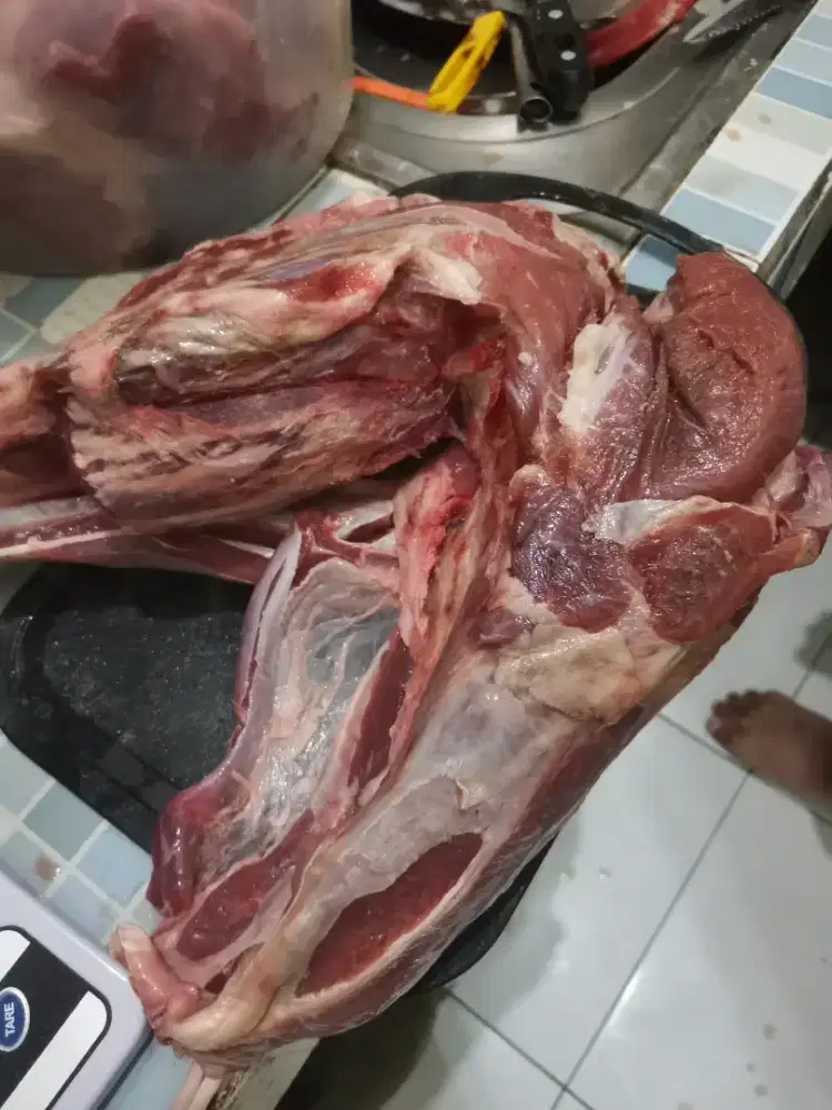 Daging sapi frozen