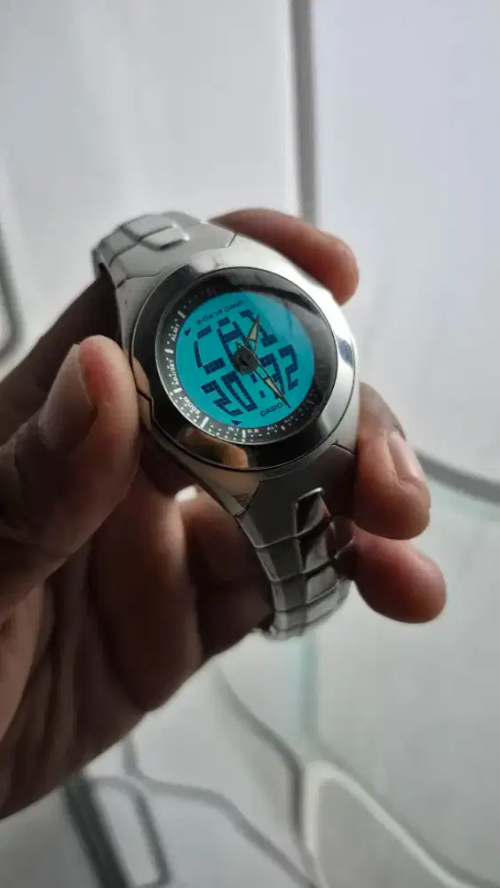 Bigtic casio edb300 databank