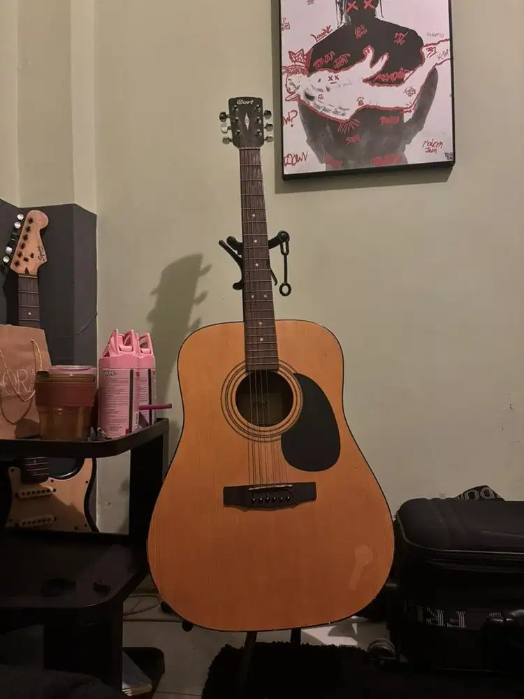 gitar akustik cort AD-810