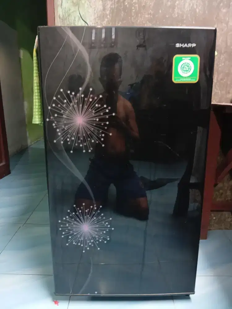 Dijual kulkas 1 pintu mrek sharp