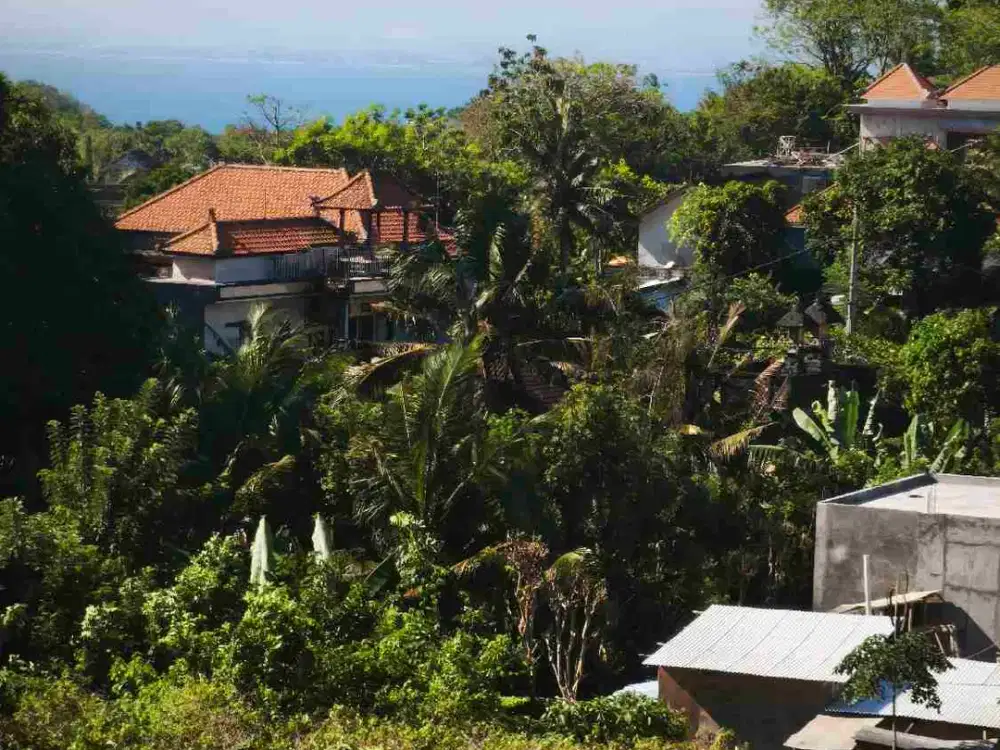 dijual tanah 5,05 are IDR 575 juta/are dekat Nirmala Pecatu Badung Bali