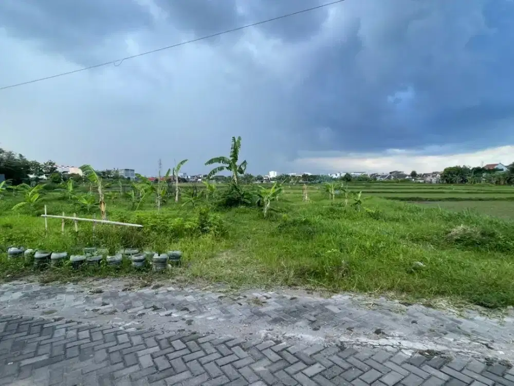 Tanah SHM Jogja Selatan 5 Menit ke Jalan Ringroad