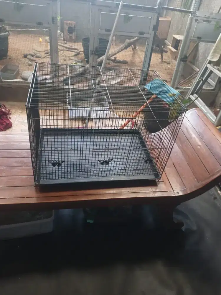 Kandang Besi uk 60x40 cm