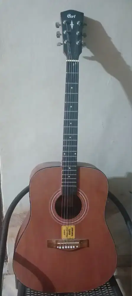 Gitar Cort plus sarung