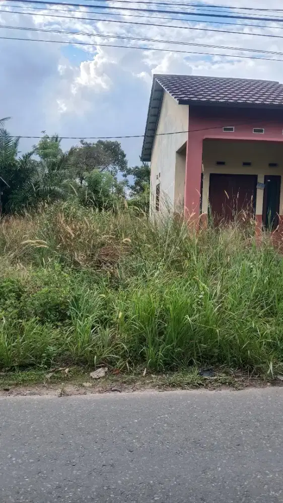 Jasa bersih rumput manual halaman rumah