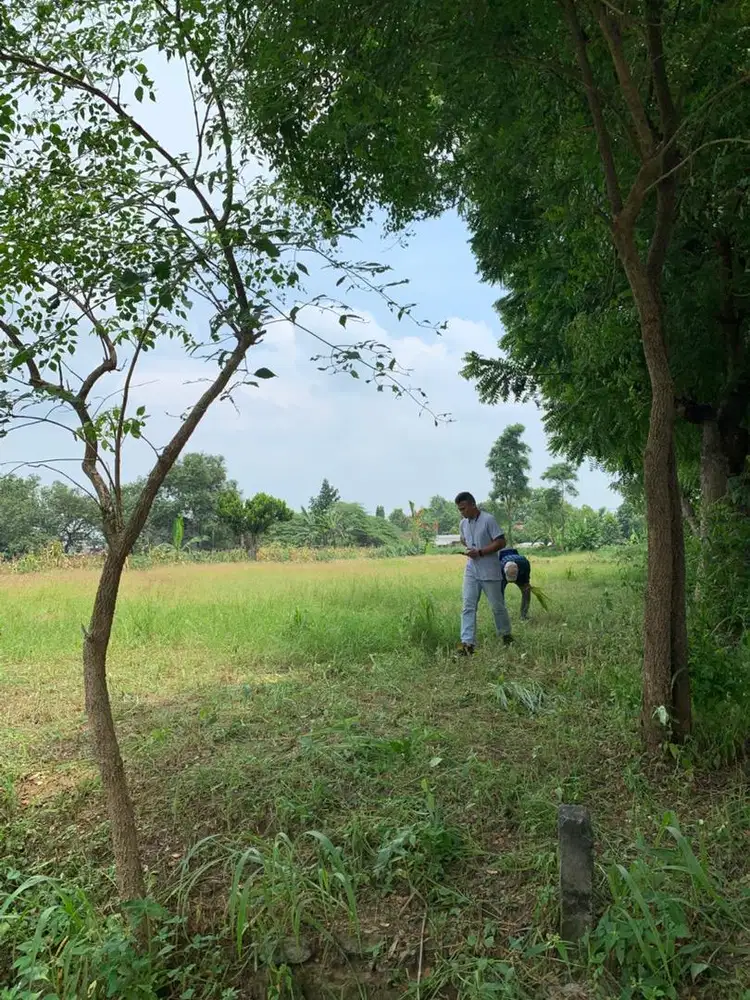 Jual tanah lokasi strategis utk perumahan, gudang atau usaha