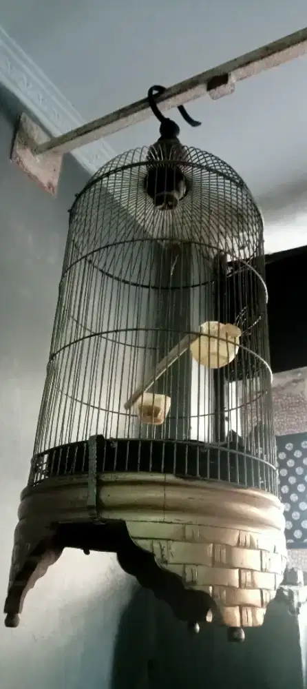 Kandang besi lovebird
