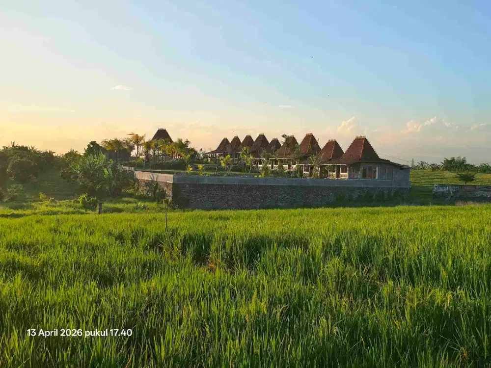 Tanah View Sawah Gunung dan Laut dekat Pasut dan Kelating Bali