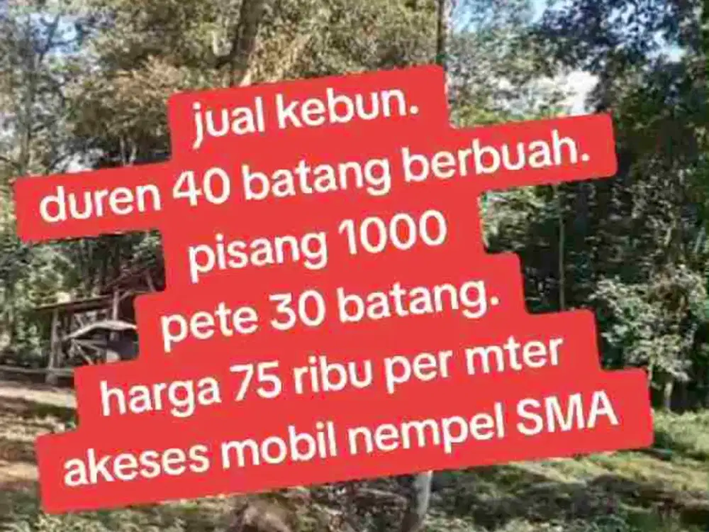 jual kebun duren akses mobil deket SMA negeri