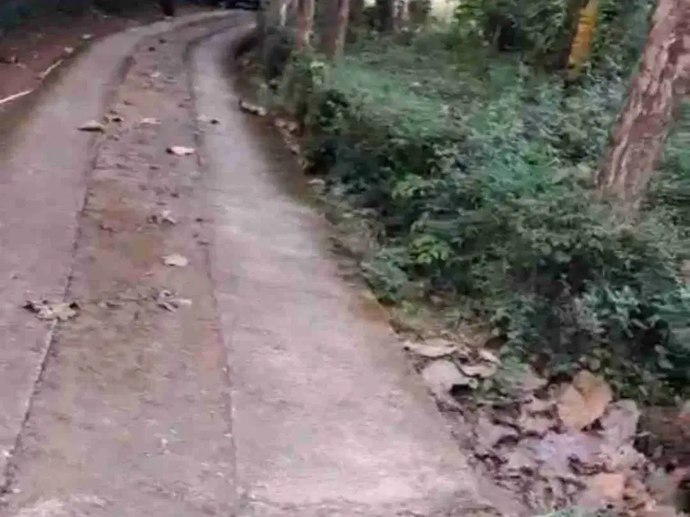 Jual cepat Tanah Murah di Girimulyo