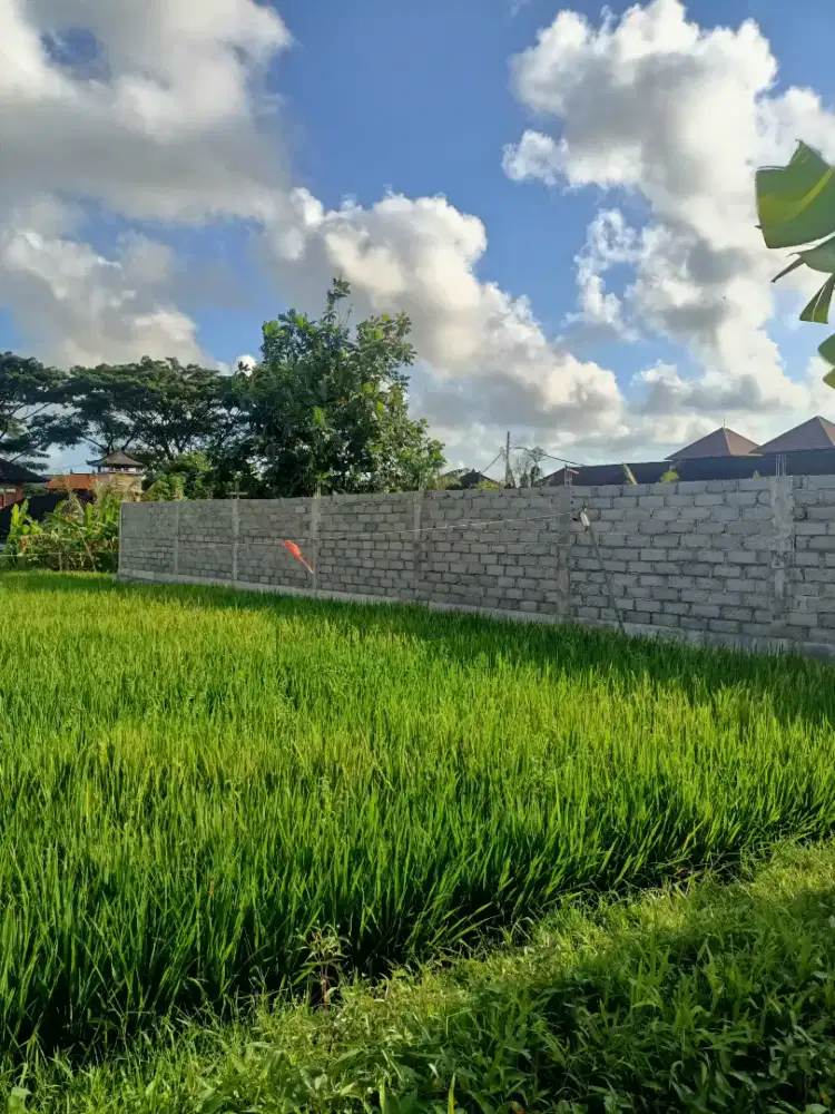 Tanah sewa 5 are di mudutaki