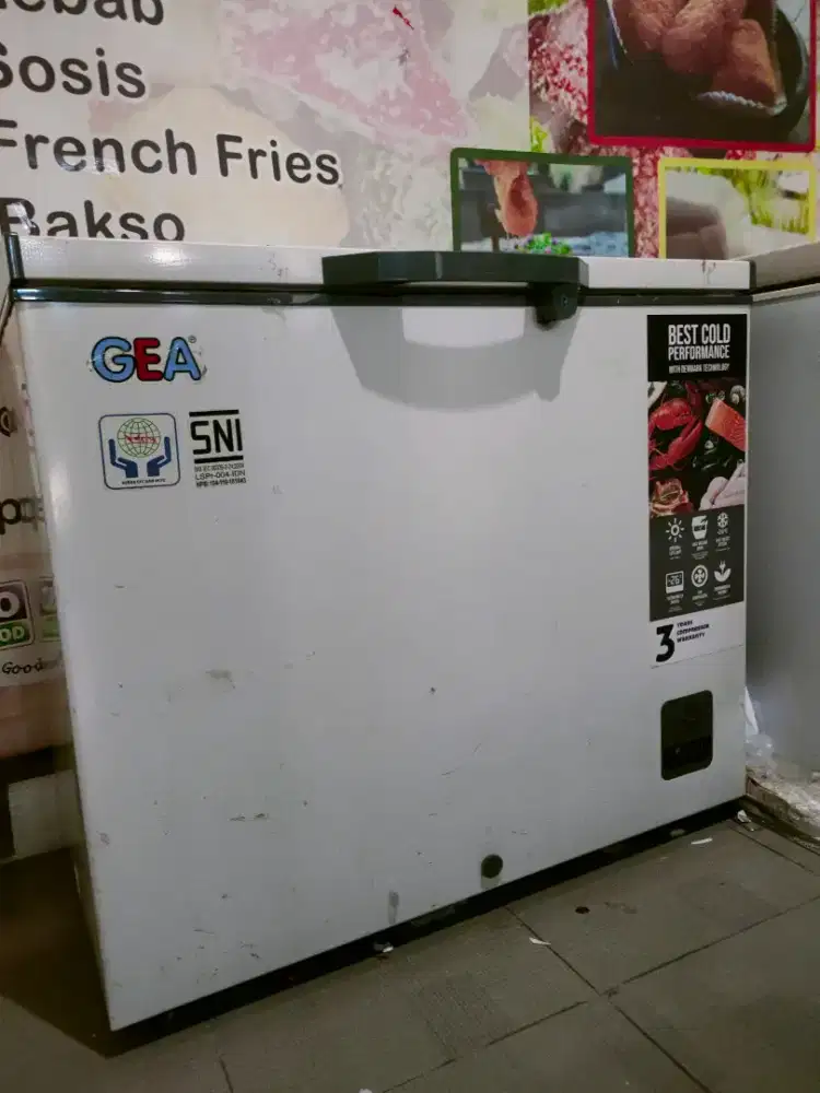 Freezer box GEA 220 lt
