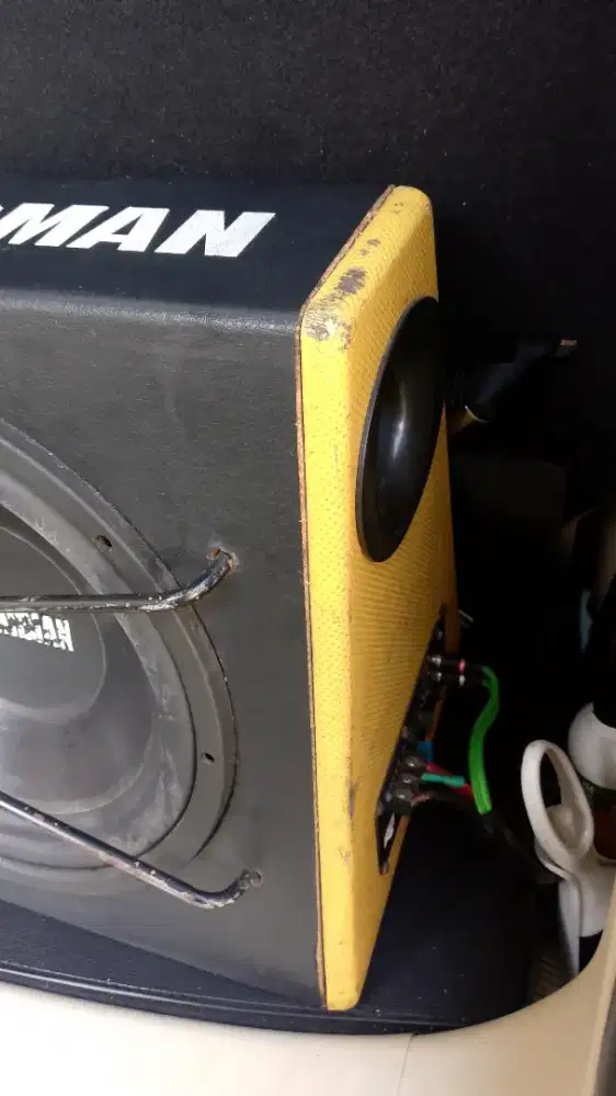 Power Subwoofer 12inch CARMAN