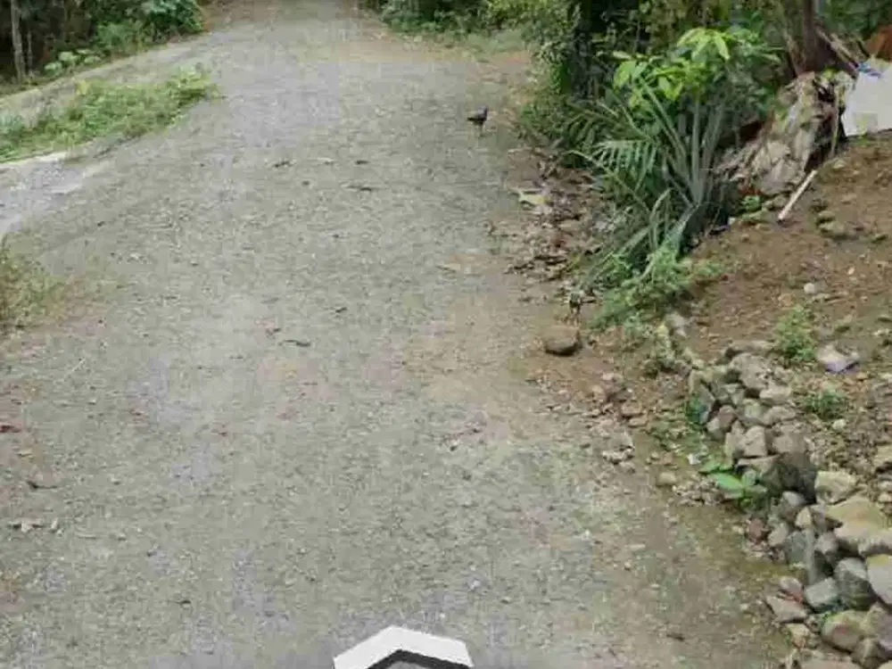 Tanah Dijual 10 - 20 Hektar dekat Bandara YIA